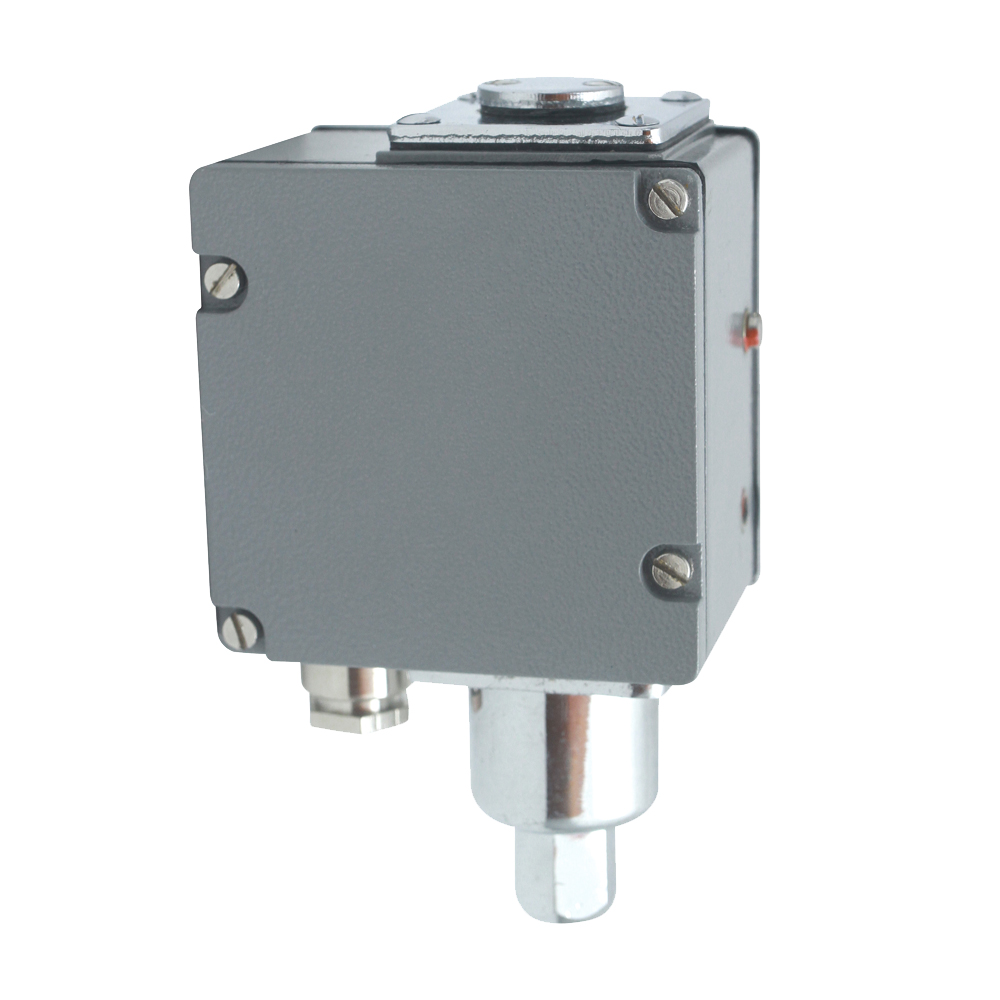 YWK-100型壓力開(kāi)關(guān) YWK-100型壓力開(kāi)關(guān)